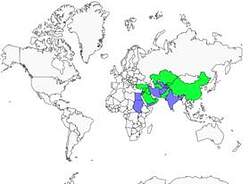 Distribution 