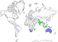 Distribution 