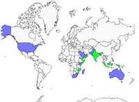Distribution 