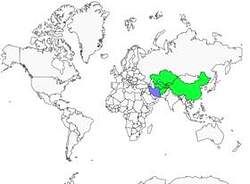 Distribution