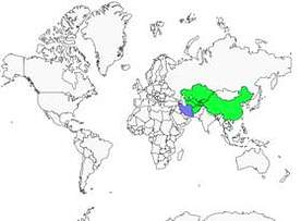 Distribution 