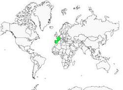 Distribution 