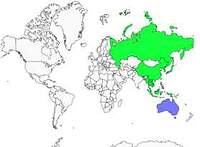 Distribution 