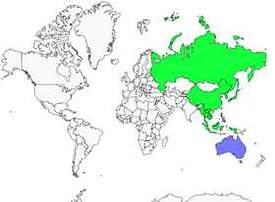 Distribution 