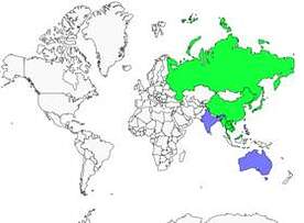Distribution 