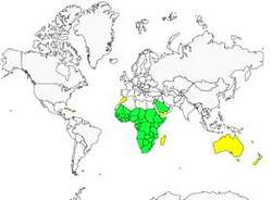 Distribution 