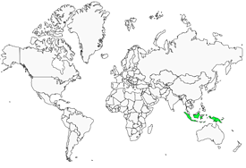 https://www.oiseaux.net/maps/images/pitohui.huppe.1.275.w.png