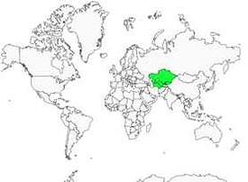 Distribution 