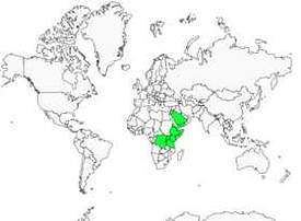 Distribution 