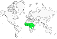 Distribution 