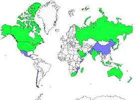 Distribution 