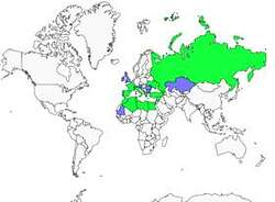 Distribution 