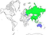 Distribution 