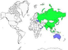 Distribution 