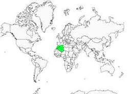 Distribution