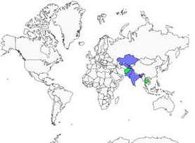 Distribution 