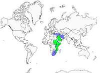 Distribution 