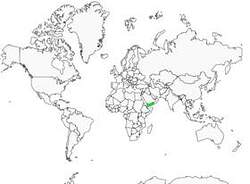 Distribution
