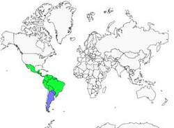 Distribution