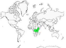 Distribution 