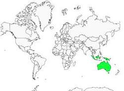 Distribution