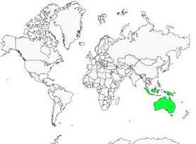 Distribution 