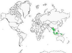 Distribution 