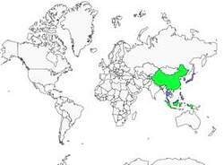Distribution