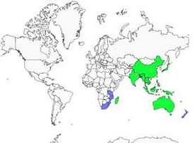 Distribution 