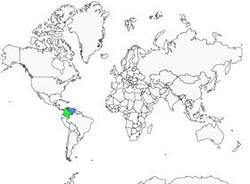 Distribution