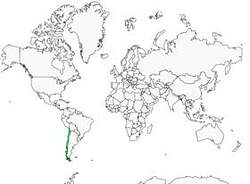 Distribution