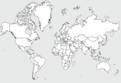Distribution