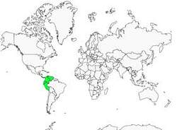 Distribution