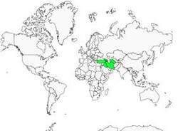 Distribution