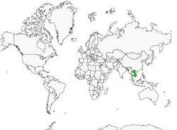 Distribution