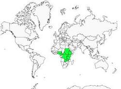 Distribution