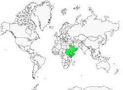 Distribution 