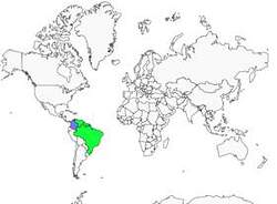 Distribution