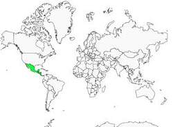 Distribution