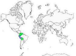 Distribution