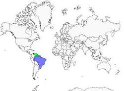 Distribution