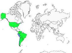 Distribution