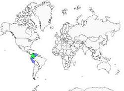 Distribution
