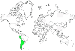 Distribution