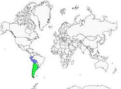 Distribution
