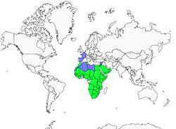 Distribution