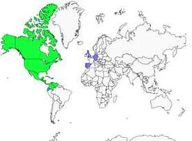 Distribution 