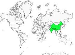 Distribution