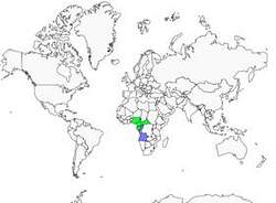 Distribution