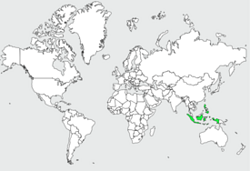 Distribution